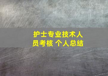 护士专业技术人员考核 个人总结